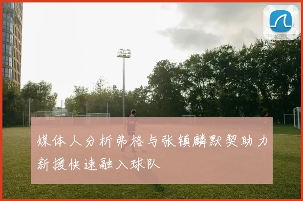 媒体人分析弗格与张镇麟默契助力新援快速融入球队