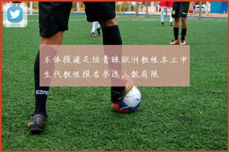 东体报道足协青睐欧洲教练本土中生代教练报名参选人数有限