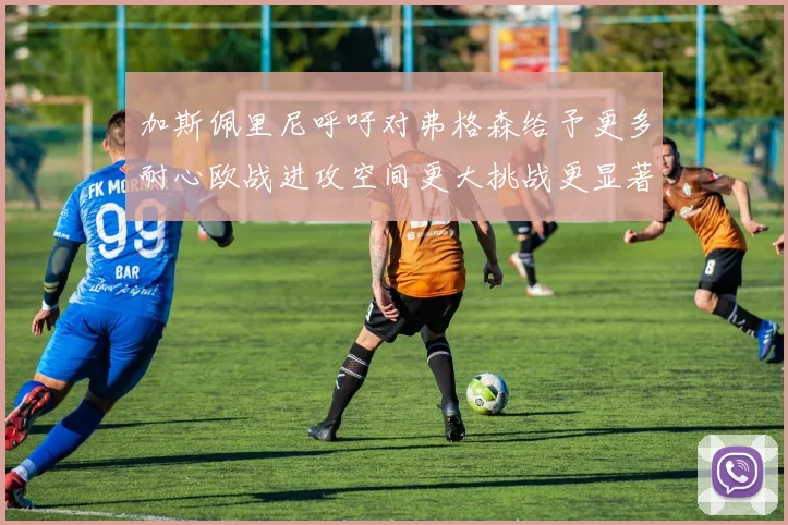 加斯佩里尼呼吁对弗格森给予更多耐心欧战进攻空间更大挑战更显著