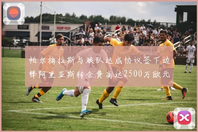 帕尔梅拉斯与狼队达成协议签下边锋阿里亚斯转会费高达2500万欧元